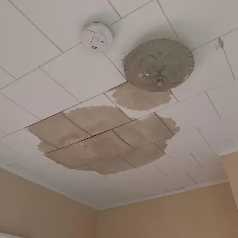 Ceiling Water Damage Repair in Sunbury, OH