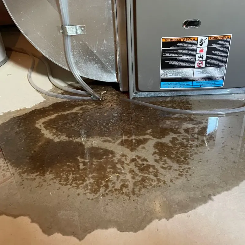 Pipe Burst and Leak Restoration in Sunbury, OH