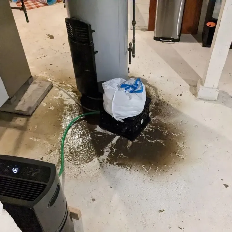 Sewage Backup Cleanup Service in Sunbury, OH